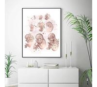 Muholin Pósteres de anatomía femenina,fertilidad,embarazo,impresiones,lienzo,pintura,arte de pared,ginecología,obstetricia,decoración,mural. 60x90cm Sin Marco