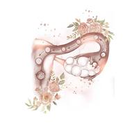 Muholin Pósteres de anatomía femenina,fertilidad,embarazo,impresiones,lienzo,pintura,arte de pared,ginecología,obstetricia,decoración,mural. 50x70cm Sin Marco