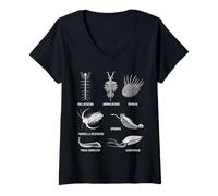 Mujer Criaturas Cámbricas Fossil Paleoart Evolución Ciencia Amante Camiseta Cuello V