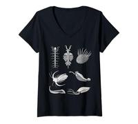 Mujer Criaturas Cámbricas Fossil Paleoart Evolución Ciencia Amante Camiseta Cuello V