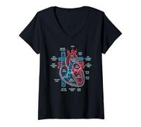 Mujer Diagrama de anatomía cardíaca Ciencias del Sistema Cardiovascular Camiseta Cuello V