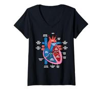 Mujer Diagrama de anatomía cardíaca Estudio de biología del Sistema Cardiovascular Camiseta Cuello V