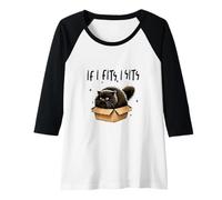 Mujer Divertido meme de gato negro: Si cabe, me siento, a mi gato le encantan las cajas Camiseta Manga Raglan
