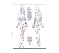 Mujer hombre cuerpo esqueleto anatomía acuarela impresión médico estudiante ciencia anatómica cirugía cartel hogar pared decoración Doctor regalo(1,30x40cm No Frame)