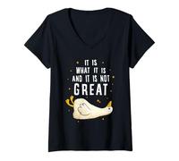Mujer It is What it is and it is Not Great Funny Silly Goose Meme Camiseta Cuello V