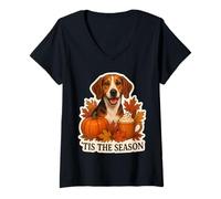 Mujer Tis The Season American Foxhound Dog, Taza de Calabaza para otoño y otoño Camiseta Cuello V