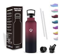 Mujigaga Botella Agua 500ml, Botella Agua Niños Acero Inoxidable con Pajita y Filtro, Sin BPA, Water Bottle A Prueba de Fugas, Cantimplora para Oficina, Deporte, Escuela, Viaje, Hogar, Bicicleta