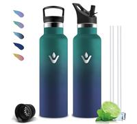 Mujigaga Botella Agua- 750ml- Botella Agua Acero Inoxidable, A Prueba de Fugas, Cantimplora con Pajita, sin BPA, Mantiene 24H Frio/12H Calor, Cantimplora para Oficina, Senderismo, Cámping