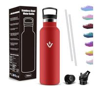 Mujigaga Botella Agua Acero Inoxidable 750ml, Botella Termica A Prueba de Fugas, Cantimplora Sin BPA, Water Bottle con Pajita y Filtro, para Exterior, Escuela, Deporte, Viaje, Hogar, Oficina