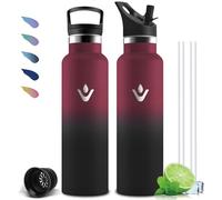 Mujigaga Botella Agua Acero Inoxidable, Botella Termica 1 litro, A Prueba de Fugas, Cantimplora con Pajita, sin BPA, Mantiene 24H Frio/12H Calor, Cantimplora para la Deportes, Senderismo, Cámping