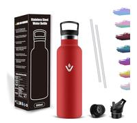 Mujigaga Botella Termica 500ml, Botella Agua Acero Inoxidable Cantimplora con Pajita y Filtro, Fácil de Limpiar, Water Bottle Sin BPA, A Prueba de Fugas, para Oficina, Deporte, Escuela, Viaje, Hogar