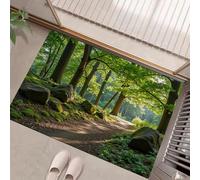 MULERN Alfombrillas para Interiores, Felpudo Camino Paisaje Forestal A La Luz del Sol Absorbente Antideslizante de Perfil Bajo para Entrada Cocina Puerta Trasera, Mascotas Perros, 40x60cm