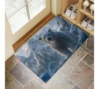MULERN Felpudo Entrada Casa 50x80cm - Alfombra Entrada Interior Antideslizante Ártico Osos Polares, Lavable Felpudo de Alfombrilla Vida Silvestre, Interior Tapete