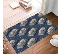 MULERN Felpudo Interior Libros Gato Durmiendo, Entrada Tienda Mascota Retro Alfombra Cocina Lavable Antideslizante, Felpudos Entrada Suave y de Perfil Bajo Casa Baño 80x120cm