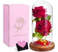 MULEVIP Rosa Eterna Bella y Bestia con Luces LED, en Glass, Elegante Cúpula de Cristal Base de Madera, Decoración Hogar, Regalos para Mama, Dia de la Madre, Mujer