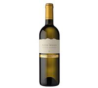 MULLER THURGAU 2021 VIÑEDOS DE LOS DOLOMITAS IGT 75 CL