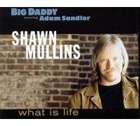 Mullins Shawn - What Is Life