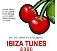 Multi Interpretes - Ibiza Tunes 2020