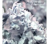 Multi Interpretes - Pop Ambient 2017