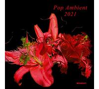 Multi Interpretes - Pop Ambient 2021