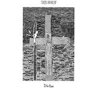 Multi Interpretes - Sbxv Todo Muere - Vinyle Rouge [Vinilo]