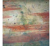 Multicast Dynamics - Continental Ruins [VINYL] [Vinilo]