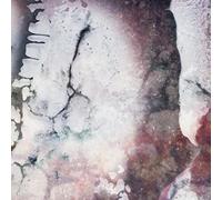 Multicast Dynamics - Outer Envelopes [VINYL] [Vinilo]