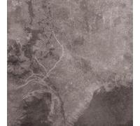 Multicast Dynamics - Scandinavia [VINYL] [Vinilo]