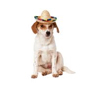 Multicolor Sombrero Mascota Disfraz Gato Perro Accesorio de Disfraz Mexicano