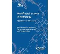 Multifractal analysis in hydrology: Application to time series