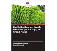 Multiplication in vitro du bananier (Musa spp.) cv. Grand Naine