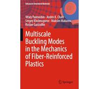 Multiscale Buckling Modes in the Mechanics of Fiber-Reinforced Plastics: 207 (Advanced Structured Materials)