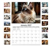 Multiuse Wall Calendar, 2027 12 Month, Hangable Paper Monthly, Desk Planner | Big Grid Wall Calendar Home, School, Reading, Study, Task, Exercise, Workout, Vacation, Party Birthday