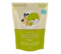 Multiva Motion 60 Ch