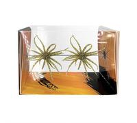 MUMQAQ Señuelo de criatura tentáculo, señuelos de pesca realistas con múltiples tentáculos, cebo de erizo suave, señuelos artificiales suaves para orilla, trucha, río, lago, agua salada, agua dulce