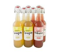 Mūn Ferments Té Kombucha Pack Ginger + Hibiscus 6x750ml - Bebida Ecológica Bio Fermentada Con Jengibre Y Manzana - Con Probióticos Naturales - Libre De Azúcar Y Gluten