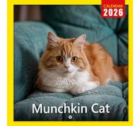 Munchkin Cat Calendar 2026: A Year of Adorable and Playful Munchkin Cats | Kalender Calendario Calendrier