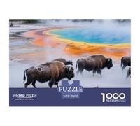 Mundo Animal Puzzles 1000 Pieces Cadeau Unique Jeu Éducatif Défi Jouet À De Qualité Supérieure Peinture Art Pour Adultes Et Enfants À Partir De 14 ANS 70x50cm/1000pcs