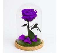 Mundo Eterno Garden Center Shop | Rosa Preservada Lila en Cúpula de Cristal Rosa Natural Eterna Estilo Bella y Bestia | Regalo Romántico y Decorativo | Sin Agua ni Mantenimiento
