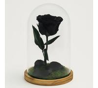 Mundo Eterno Garden Center Shop Rosa Preservada Negra en Cúpula de Cristal | Rosa Eterna Natural | Regalo Original | 22x12 cm