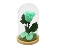 Mundo Eterno | Garden Center Shop | Rosa Preservada Verde Menta en Cúpula de Cristal 22x12 cm | Rosa Eterna Natural | Regalo Original | Estilo Bella y Bestia | Decoración del Hogar | Bella y Bestia