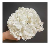 Mundo Eterno Hortensia Preservada Blanca 15X15CM