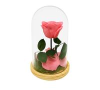 Mundo Eterno | Rosa Preservada Dusty Pink en Cúpula de Cristal 22x12 cm | Rosa Eterna Estilo Bella y Bestia | Regalo Decorativo para el Hogar