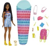 Muñeca Barbie Brooklyn de Barbie Familia -Camping con accesorios