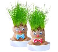 Muñeca Cabeza de Hierba - Mini planta en maceta con cabeza de hierba, planta hidropónica de escritorio fácil de cultivar para niños y jardín de infancia, maceta educativa divertida con accesorio de ma