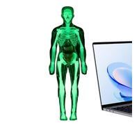 Muñeca de anatomía | Herramientas de juguete para órganos que brillan en la oscuridad, modelo de anatomía humana para niños | Para y niñas a partir de 8 años L El cuerpo humano Moab Estudio Halloween