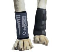 Muñequera para Perros con Artrosis, Lesiones en Ligamentos o Tendones o Perros de Agility