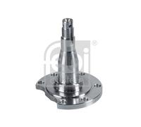 Muñón De Eje Cuerpo Del Eje Febi Bilstein 29656 para Audi Seat VW