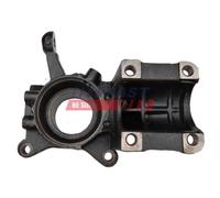 Muñón Del Eje Suspensión De Rueda Fast FT13515 para Citroën Fiat