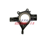 Muñón Del Eje Suspensión De Rueda Fast FT13554 para Citroën